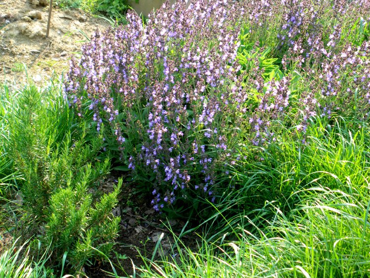 May in Tuscany