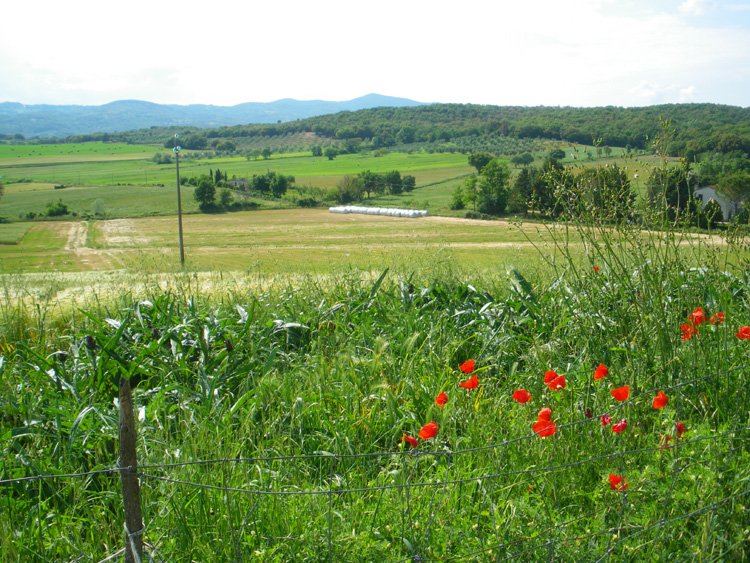 May in Tuscany