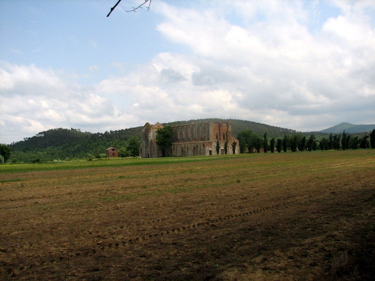 The Abbey of St. Galgano in early June