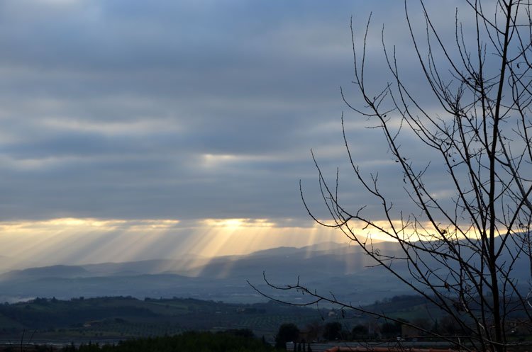 tuscan lights