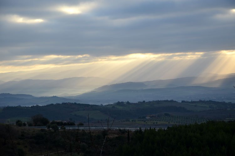 tuscan lights