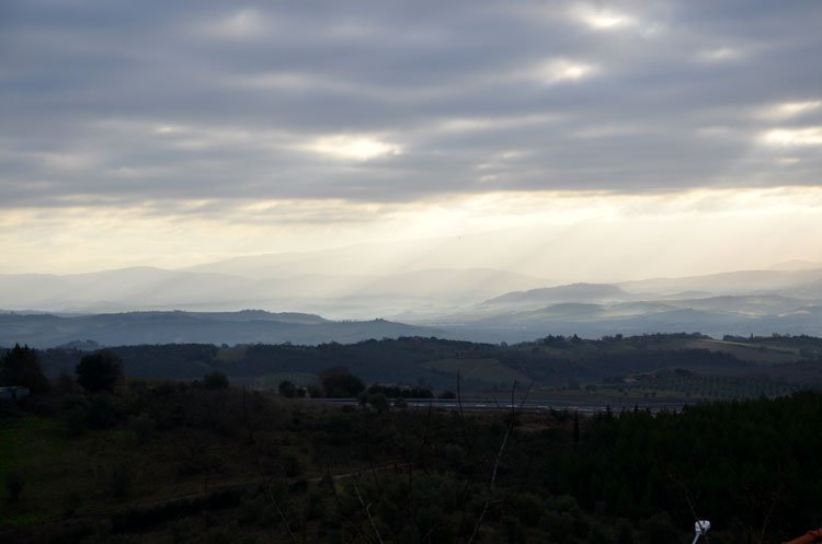 tuscan lights