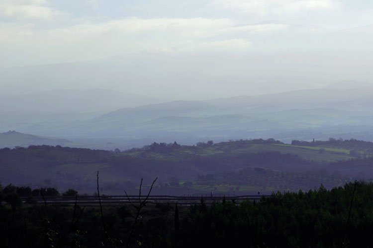 tuscan lights