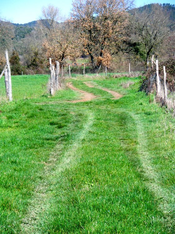 March in Tuscany