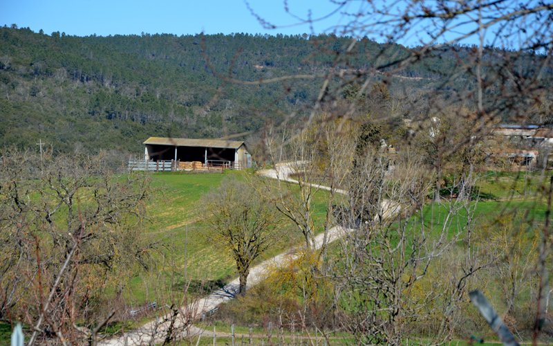 March in Tuscany