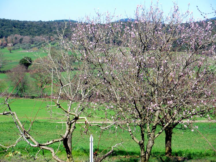 March in Tuscany
