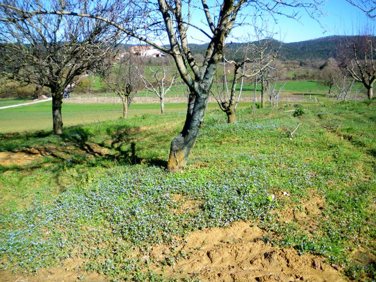 The countryside of Tuscany