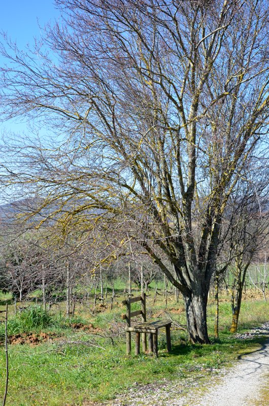 March in Tuscany