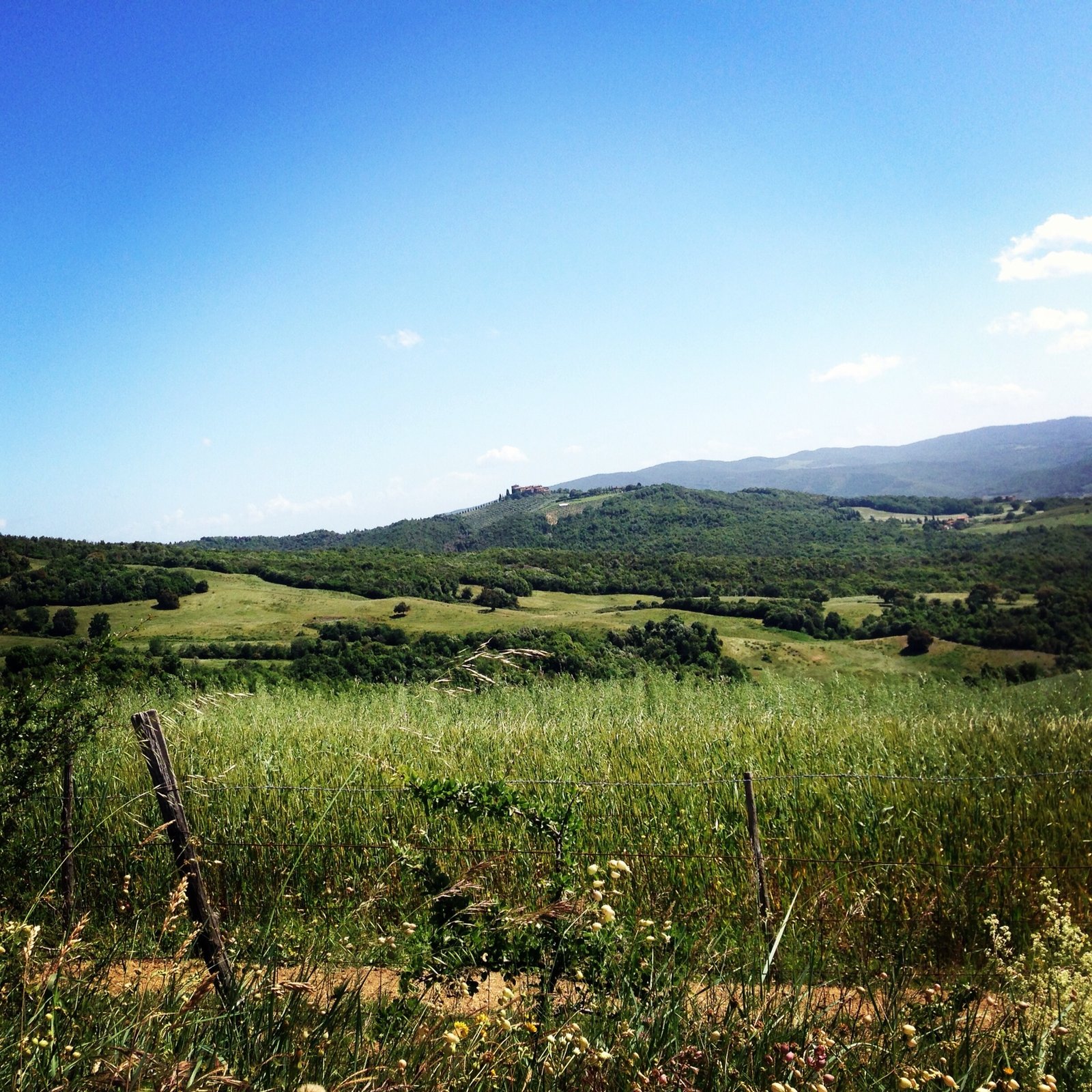 Countryside of Tuscany 