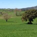 Spring in Tuscany