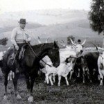 butteri in the Tuscan Maremma