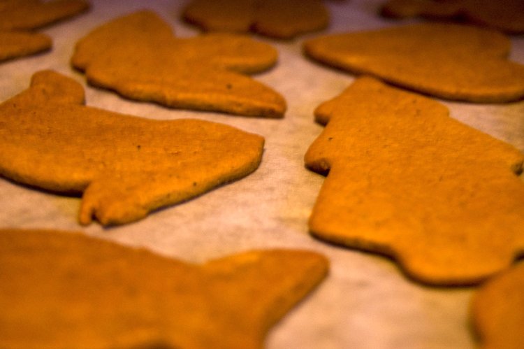 ginger bread cookies